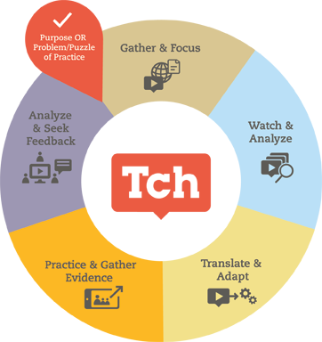 Theory of Professional Learning Wheel